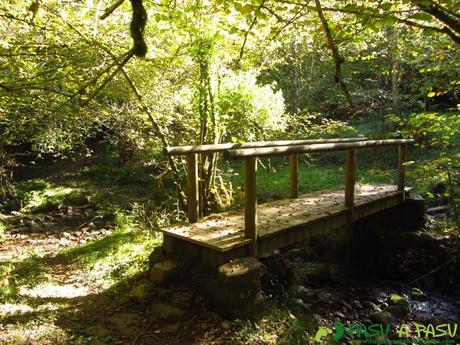 Puente sobre el río Mampodre en Parres