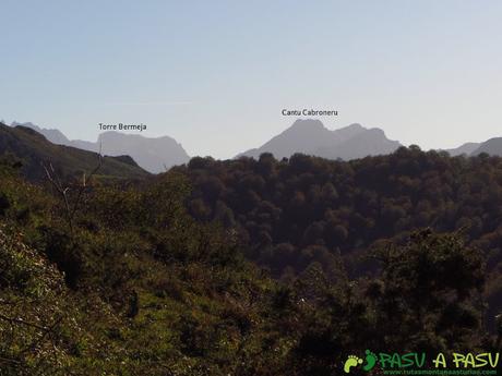 Vista del Canto Cabronero y Torre Bermeja desde la ruta del bosque de Cea