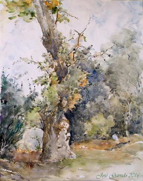 Aranjuez - Acuarelando el otoño