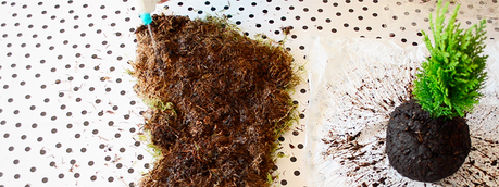 como-hacer-un-kokedamas