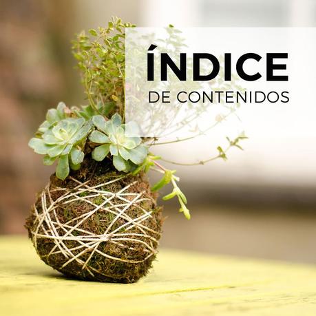 Cómo hacer kokedamas