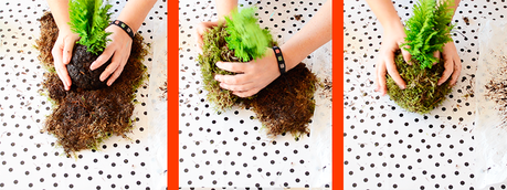 como-hacer-kokedamas-6