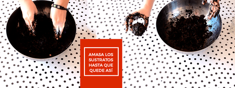 como-hacer-un-kokedama-1-1