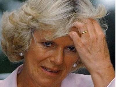 ¡Ay va! Tu Príncipe tiene Madrastra. camilla-parker