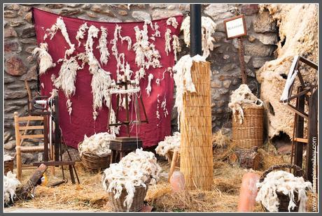 Belén Viviente Buitrago de Lozoya