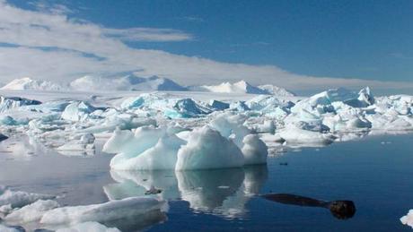 deshielo-en-la-antartica-genera-preocupacion-en-la-comunidad-cientifica