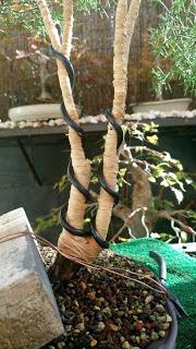 La Sabina : cambio radical 1º parte.