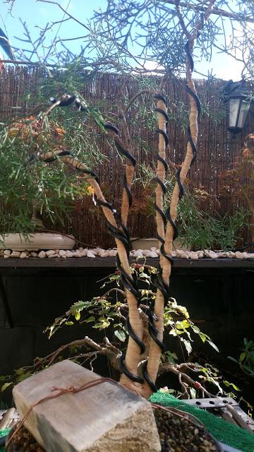 La Sabina : cambio radical 1º parte.