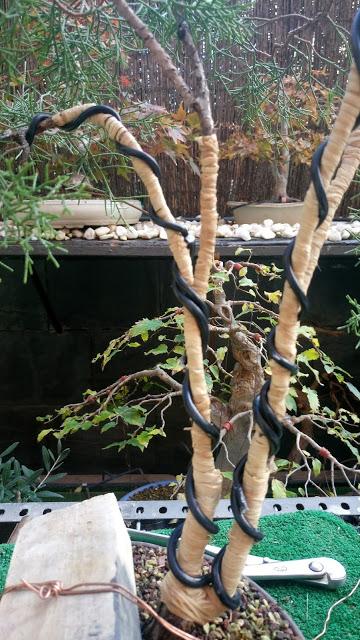 La Sabina : cambio radical 1º parte.