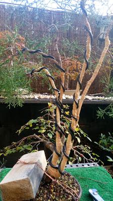 La Sabina : cambio radical 1º parte.