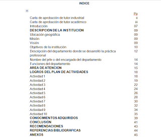 Modelo de Informe de pasantias.  UNEFA.