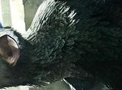 Mostrado nuevo increíble tráiler Last Guardian