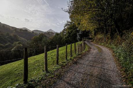 Emprendiendo la marcha