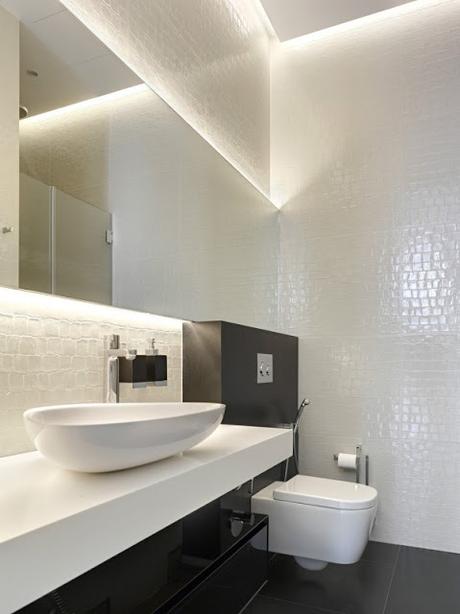 Sanitarios Contemporaneos