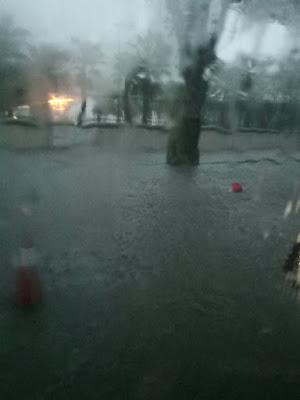 VII Maratón de Málaga, suspendido por inundaciones.