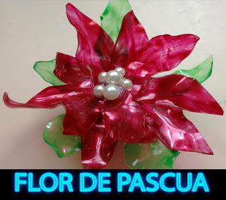 DIY Como hacer una flor de navidad, flor de pascua, pascuero, poinsetia,  con pet de refresco - Paperblog