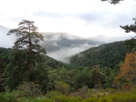 POR MAJALAOSA Y CERRO MINGUETE