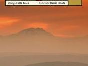 Soledad Víctor Catalá