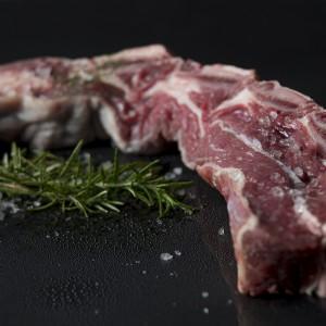 FOTOS DE PRODUCTO MARISKITO.COM