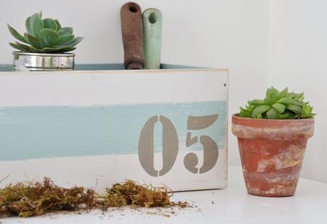 Cajones de primavera-verano