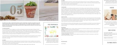 Cajones de primavera-verano