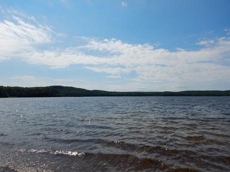 Ruta en canoa por el Algonquin Provincial Park: Pen Lake – zona pantanosa – portage – Welcome Lake