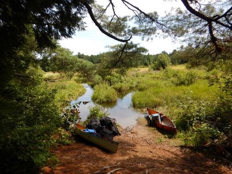 Ruta en canoa por el Algonquin Provincial Park: Pen Lake – zona pantanosa – portage – Welcome Lake