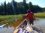 Ruta canoa Algonquin Provincial Park: Lake zona pantanosa portage Welcome