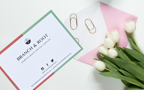 Descubriendo la Cosmética Nicho de Branch & Root