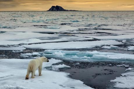 La COP22 y la eterna lucha contra el cambio climático
