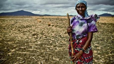 La COP22 y la eterna lucha contra el cambio climático