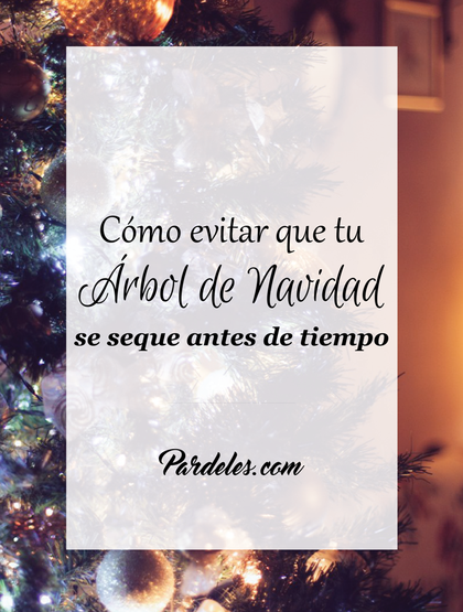 Cómo evitar que tu árbol de navidad se seque antes de tiempo