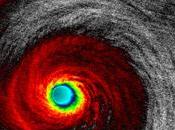 sido todo rápido...