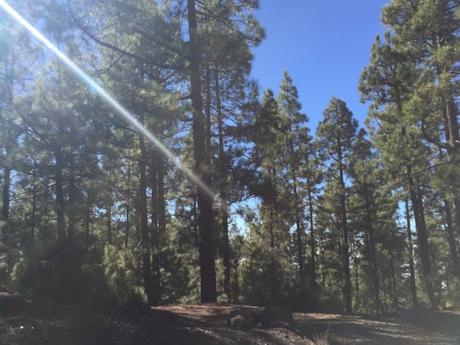 PARQUE NACIONAL DEL TEIDE - Tenerife