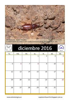 Calendario AeE-GEV. Mes de Diciembre
