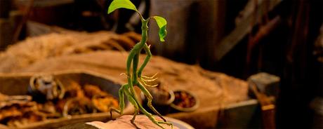 Resultado de imagen de animales fantasticos y donde encontrarlos