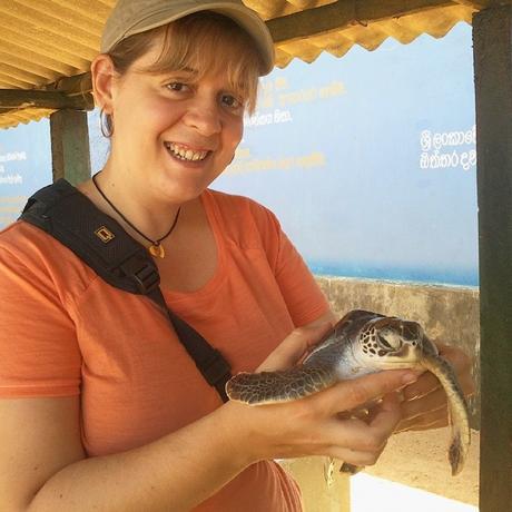 Sri Lanka y las tortugas marinas