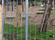 #ParqueJH: diseño colaborativo transformación física espacio público