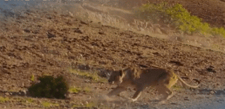 Reflexión: No existe enemigo pequeño.