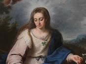 Reorganización Confraternidad Hermandades Divina Pastora Almas