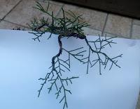 La Sabina : cambio radical 2º parte.