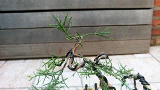 La Sabina : cambio radical 2º parte.