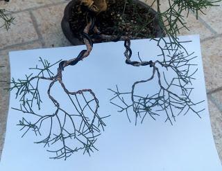 La Sabina : cambio radical 2º parte.