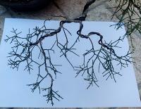 La Sabina : cambio radical 2º parte.