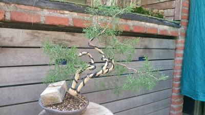 La Sabina : cambio radical 2º parte.