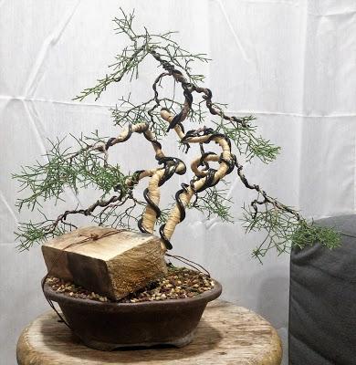 La Sabina : cambio radical 2º parte.