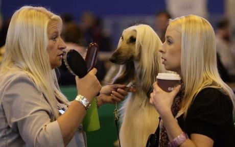 18 cosas que se parecen mucho más de lo que deberían_14