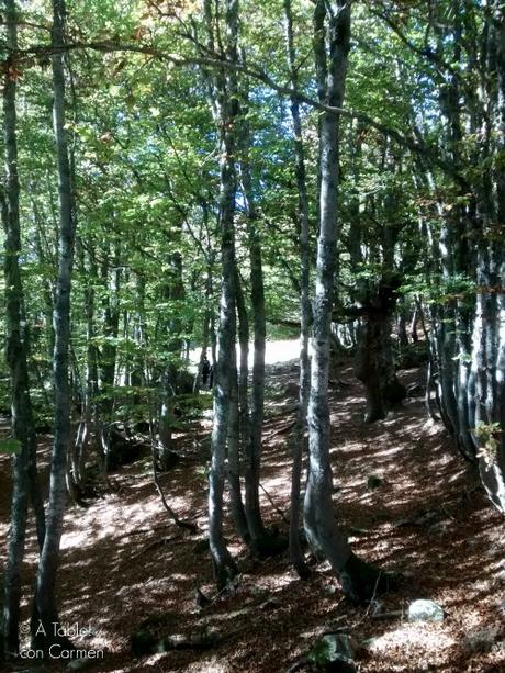 Lagos de Ayous - Ruta Circular