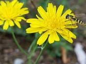 Androidografia Barakaldo DXVII. Naturaleza #fotografia