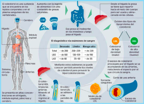 ¡Colesterofobia y yogures!